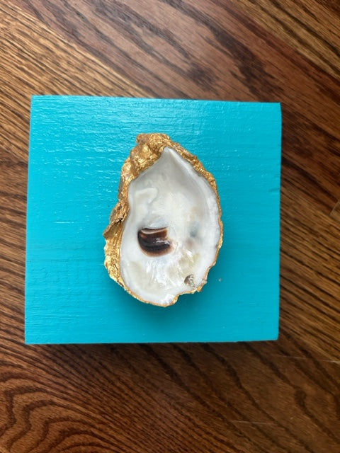 Oyster Home Décor